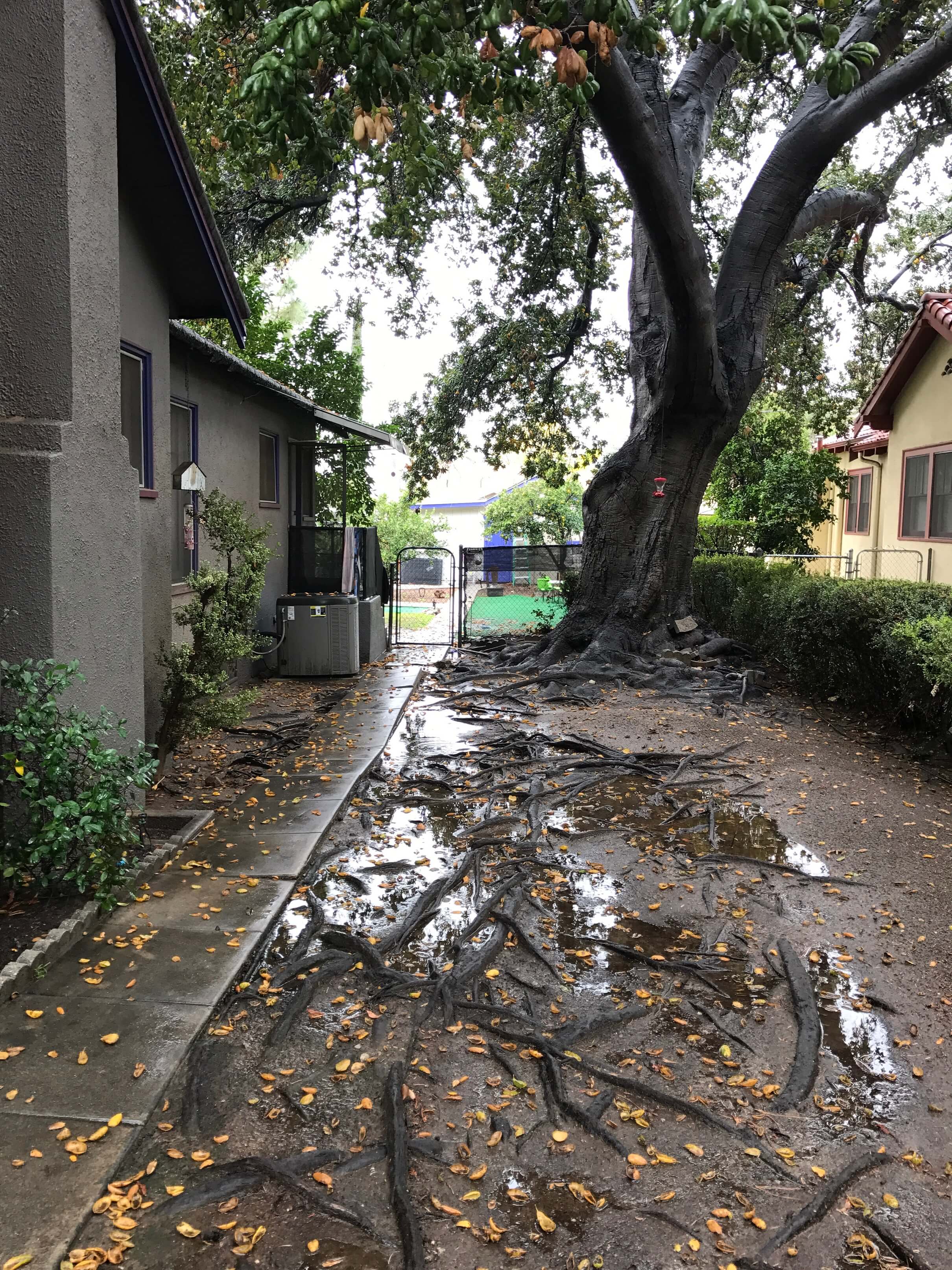 2016-12-16_11-17-11_215