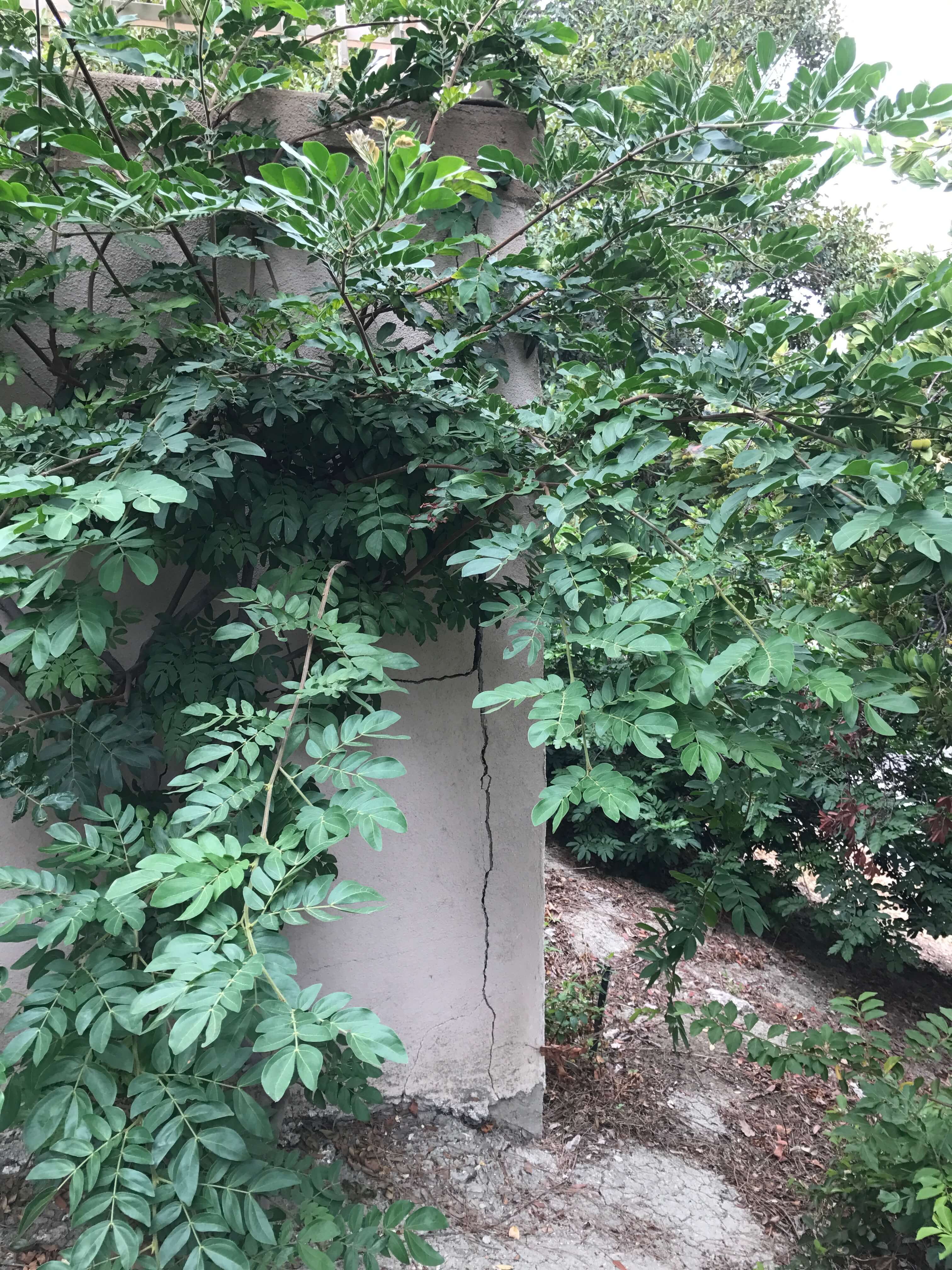 2017-08-15_10-52-25_682